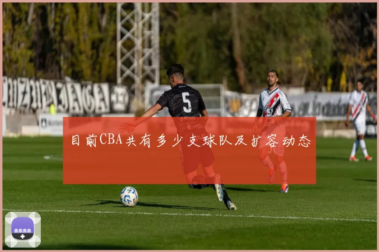 目前CBA共有多少支球队及扩容动态